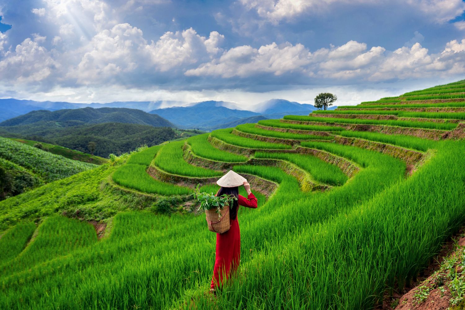 Vietnam